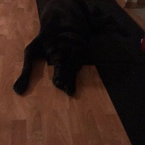 Meet your Posher, Jen